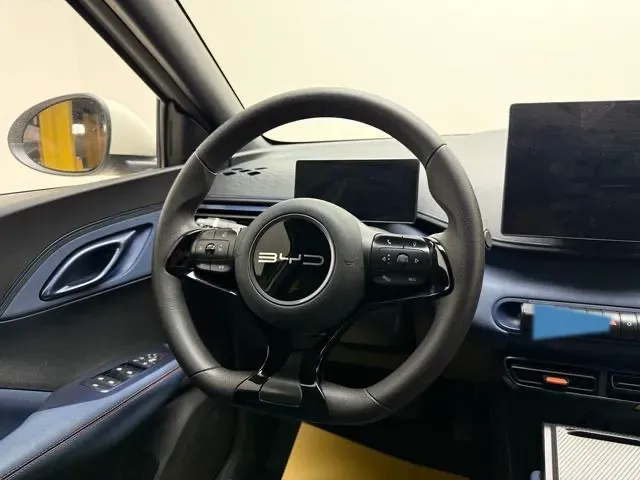 2024 BYD Seagull BEV 30.08KWH,autocango,china used car exporter,china ev exporter,chinese used car exporter,chinese used ev exporter