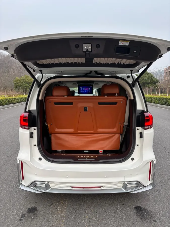 2021 GAC Trumpchi M8 2.0T 252HP L4 8AT,autocango,china used car exporter,china ev exporter,chinese used car exporter,chinese used ev exporter