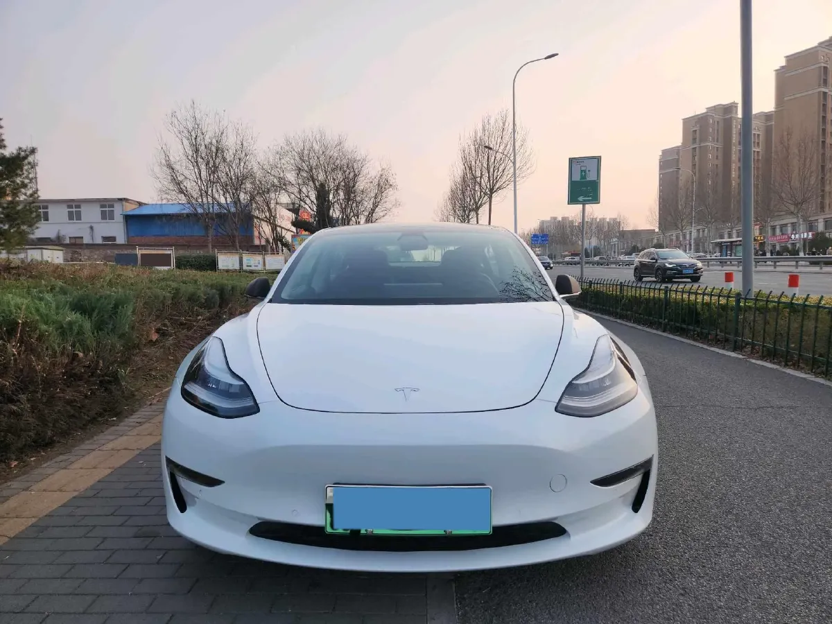 2019 Tesla Model 3 BEV 81KWH,autocango,china used car exporter,china ev exporter,chinese used car exporter,chinese used ev exporter