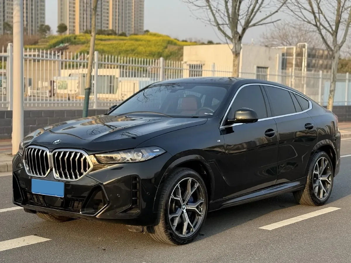 2023 BMW X6 3.0T 381HP L6 8AT,autocango,china used car exporter,china ev exporter,chinese used car exporter,chinese used ev exporter