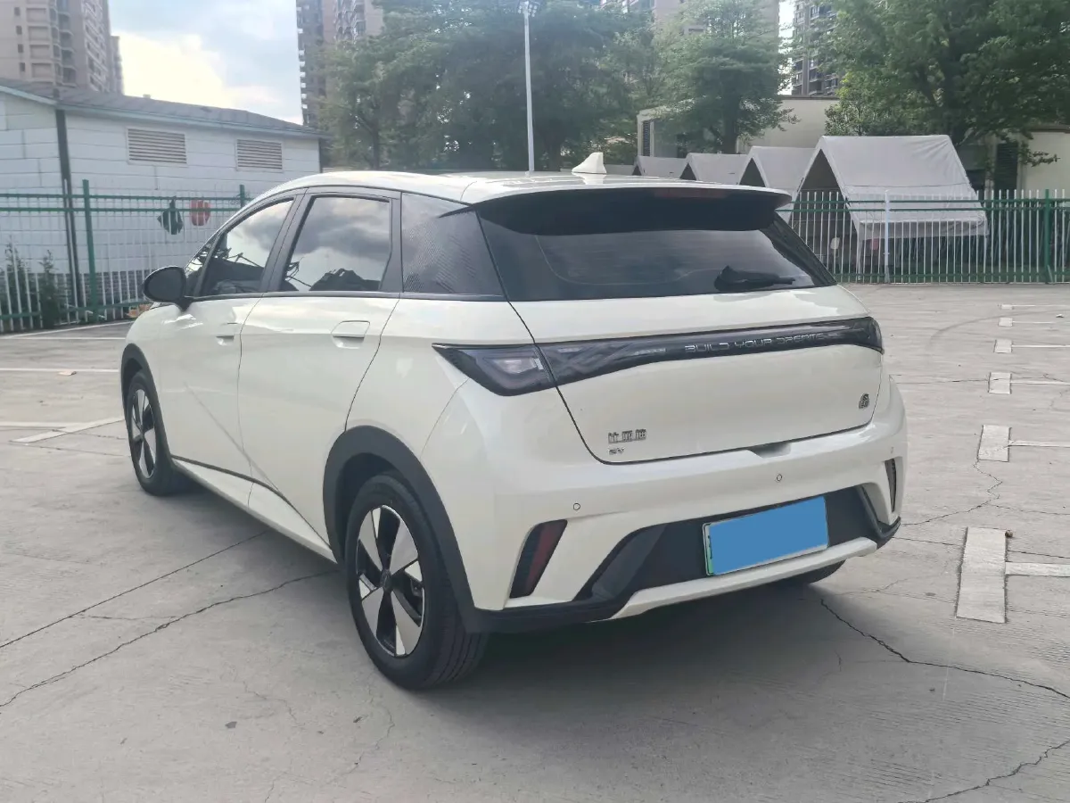2023 BYD Dolphin BEV 44.928KWH,autocango,china used car exporter,china ev exporter,chinese used car exporter,chinese used ev exporter
