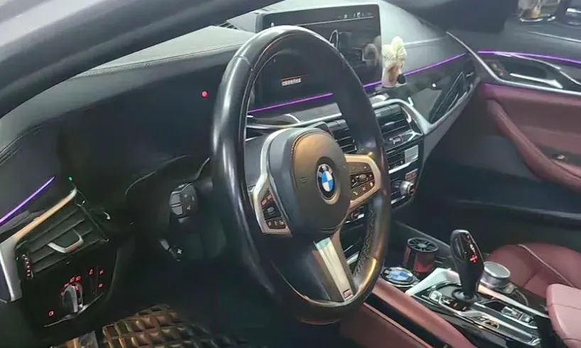 2021 BMW 5 Series 2.0T 184HP L4 8AT,autocango,china used car exporter,china ev exporter,chinese used car exporter,chinese used ev exporter