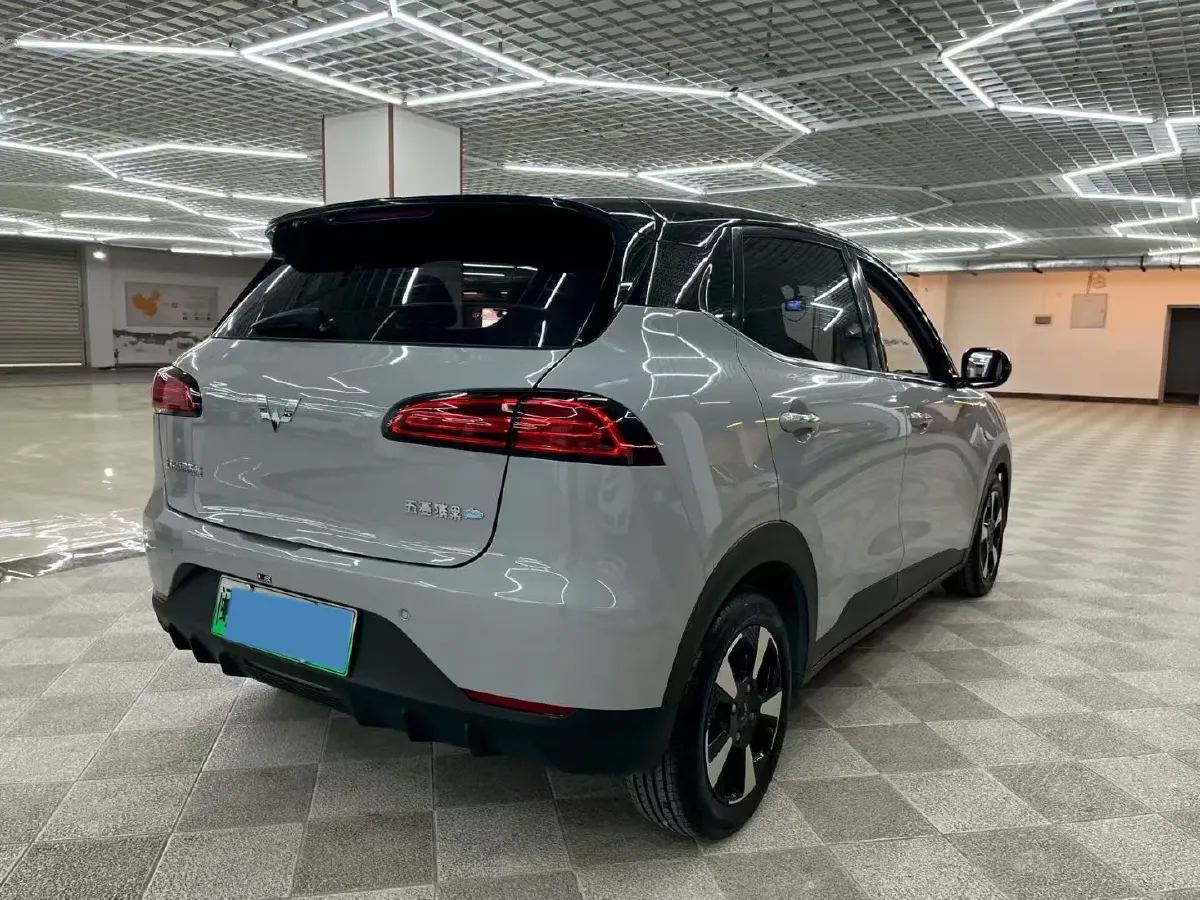 2024 WuLing BinGuoPLUS BEV 50.6KWH,autocango,china used car exporter,china ev exporter,chinese used car exporter,chinese used ev exporter