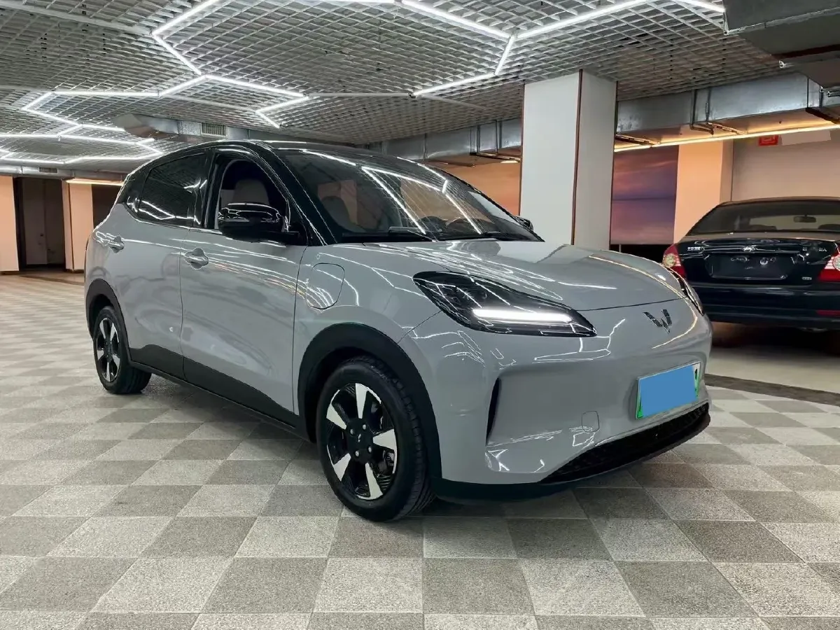 2024 WuLing BinGuoPLUS BEV 50.6KWH,autocango,china used car exporter,china ev exporter,chinese used car exporter,chinese used ev exporter