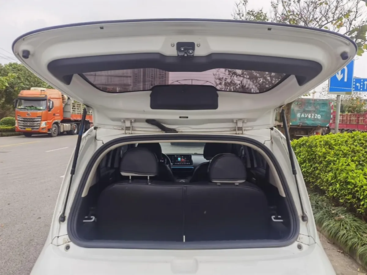 2020 Ora WhiteCat BEV 29.4KWH,autocango,china used car exporter,china ev exporter,chinese used car exporter,chinese used ev exporter