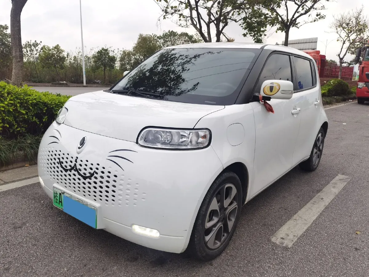 2020 Ora WhiteCat BEV 29.4KWH,autocango,china used car exporter,china ev exporter,chinese used car exporter,chinese used ev exporter
