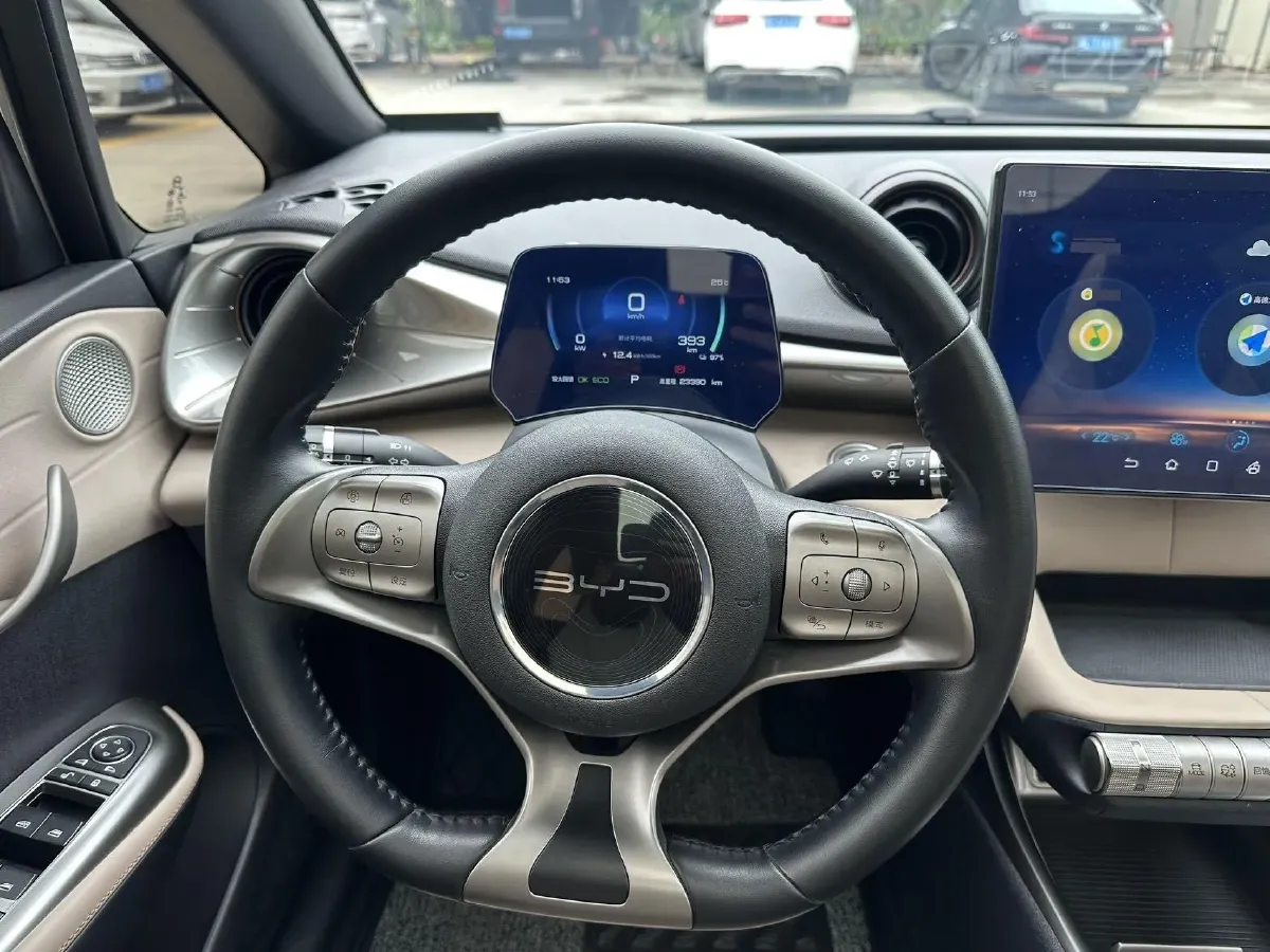 2023 BYD Dolphin BEV 44.928KWH,autocango,china used car exporter,china ev exporter,chinese used car exporter,chinese used ev exporter