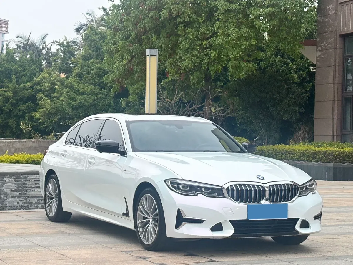2020 BMW 3 Series 2.0T 184HP L4 8AT,autocango,china used car exporter,china ev exporter,chinese used car exporter,chinese used ev exporter