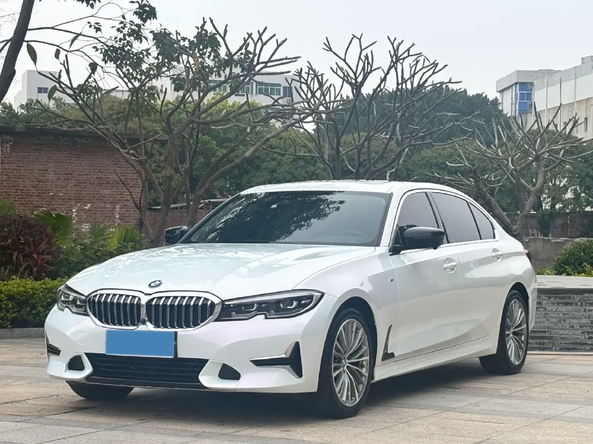 2020 BMW 3 Series 2.0T 184HP L4 8AT,autocango,china used car exporter,china ev exporter,chinese used car exporter,chinese used ev exporter