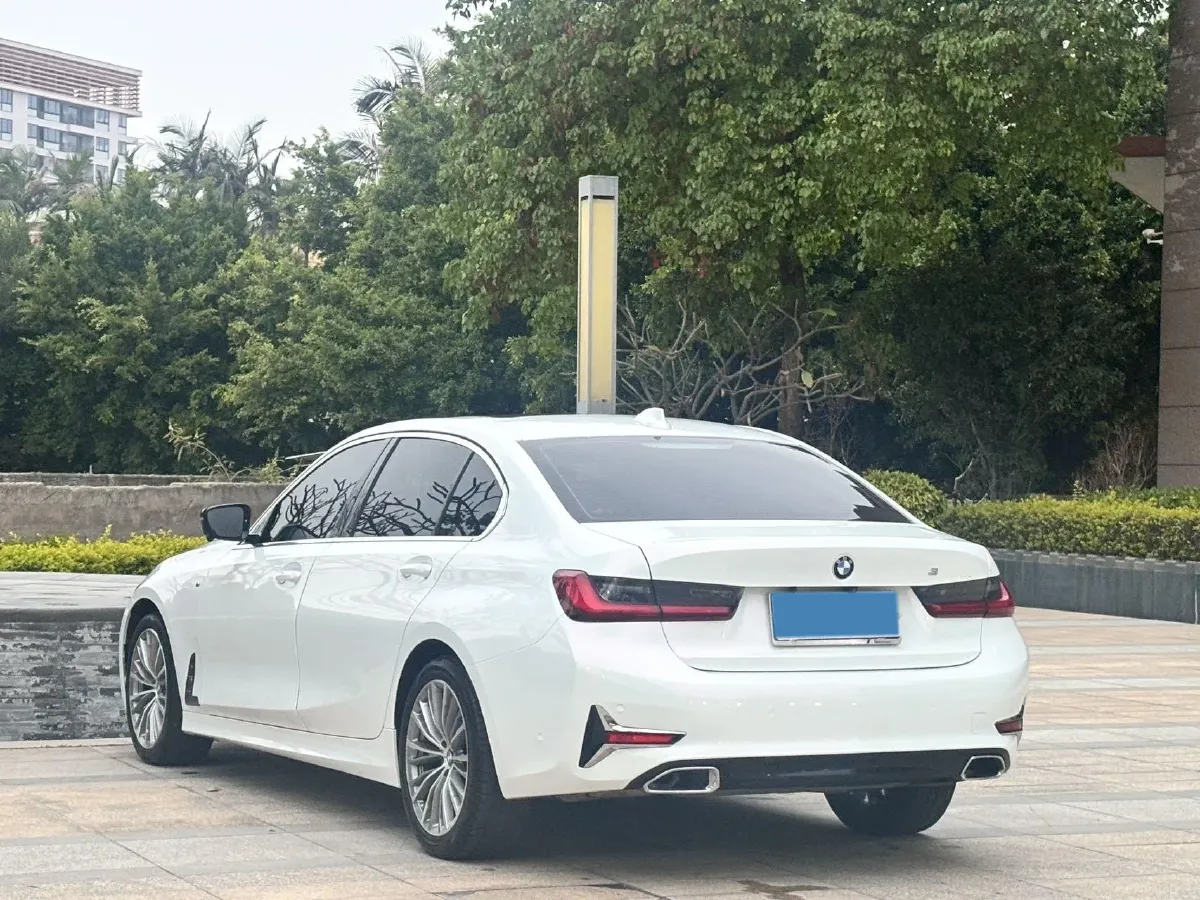 2020 BMW 3 Series 2.0T 184HP L4 8AT,autocango,china used car exporter,china ev exporter,chinese used car exporter,chinese used ev exporter