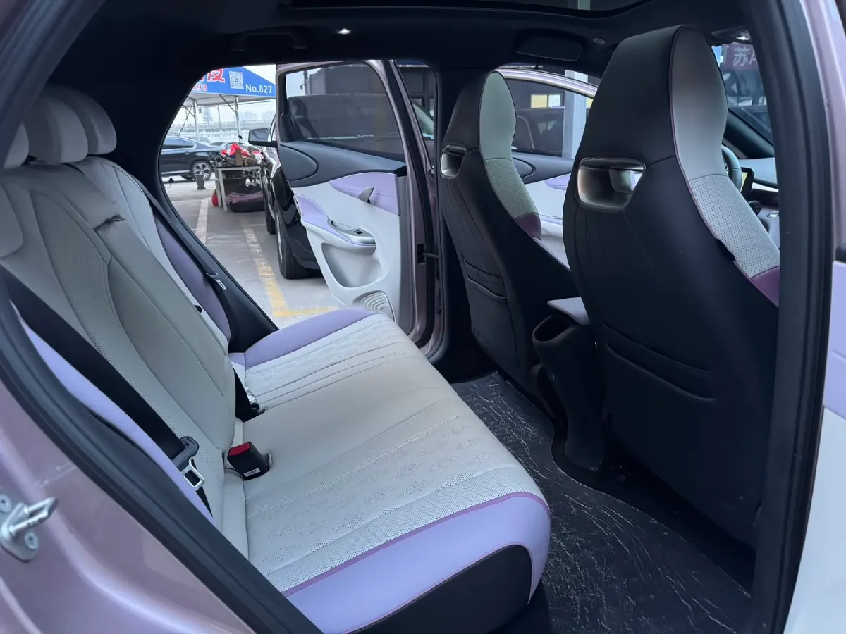 2023 BYD Dolphin BEV 44.928KWH,autocango,china used car exporter,china ev exporter,chinese used car exporter,chinese used ev exporter