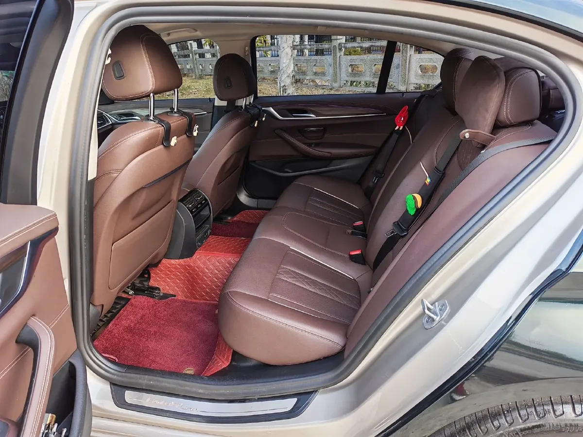 2021 BMW 5 Series 2.0T 252HP L4 8AT,autocango,china used car exporter,china ev exporter,chinese used car exporter,chinese used ev exporter