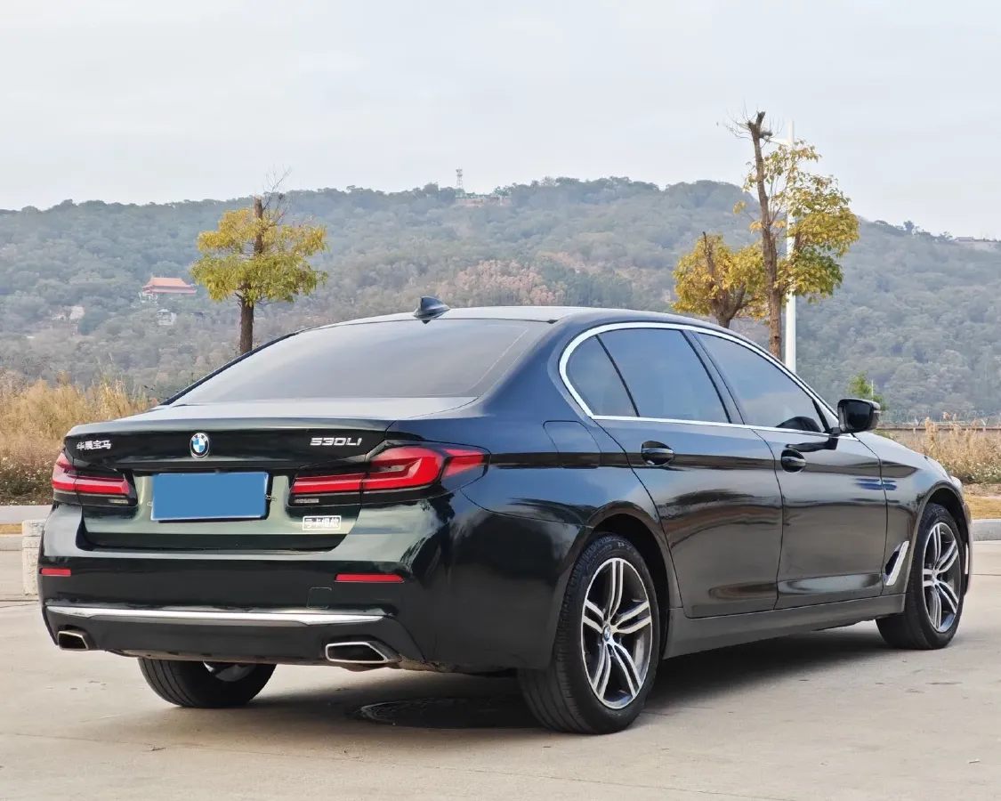2021 BMW 5 Series 2.0T 252HP L4 8AT,autocango,china used car exporter,china ev exporter,chinese used car exporter,chinese used ev exporter