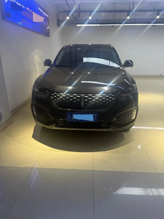 2020 WEY VV6 2.0T 227HP L4 7DCT,autocango,china used car exporter,china ev exporter,chinese used car exporter,chinese used ev exporter