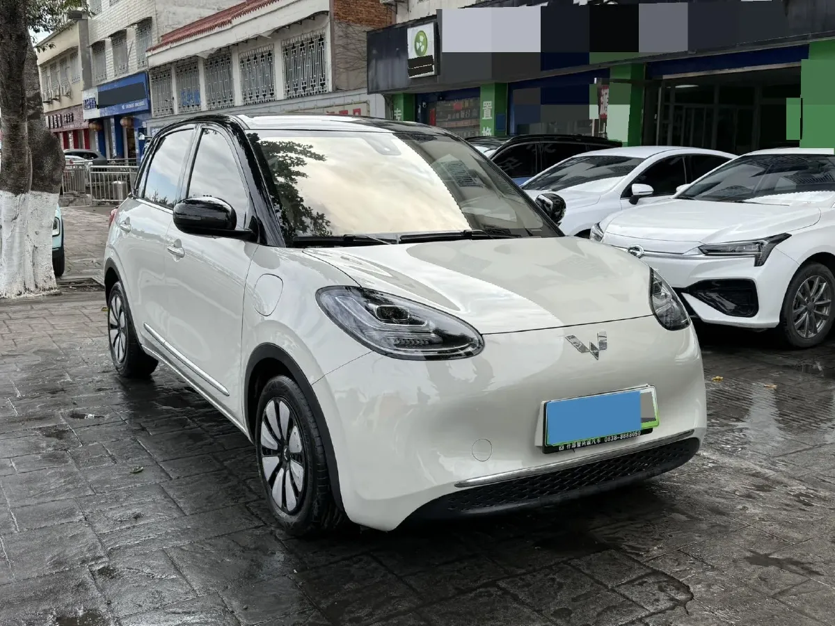 2023 WuLing BinGuo BEV 31.9KWH,autocango,china used car exporter,china ev exporter,chinese used car exporter,chinese used ev exporter