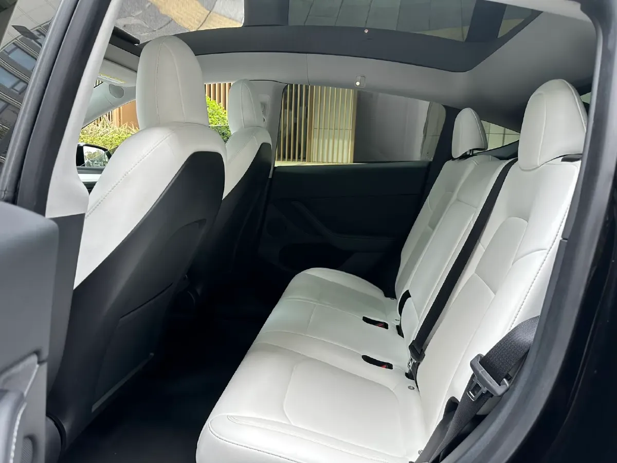 2021 Tesla Model 3 BEV 76.8KWH,autocango,china used car exporter,china ev exporter,chinese used car exporter,chinese used ev exporter