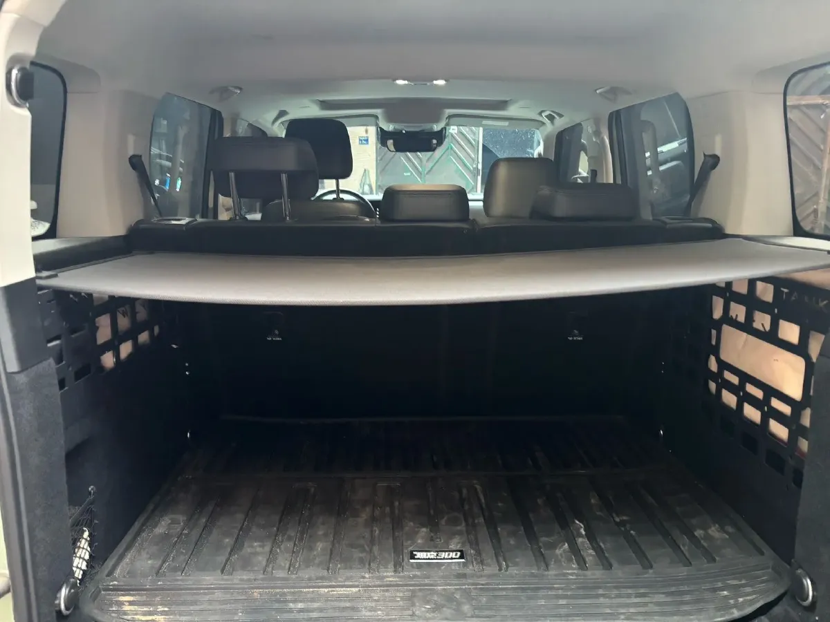 2023 Tank 300 2.0T 227HP L4 8AT,autocango,china used car exporter,china ev exporter,chinese used car exporter,chinese used ev exporter