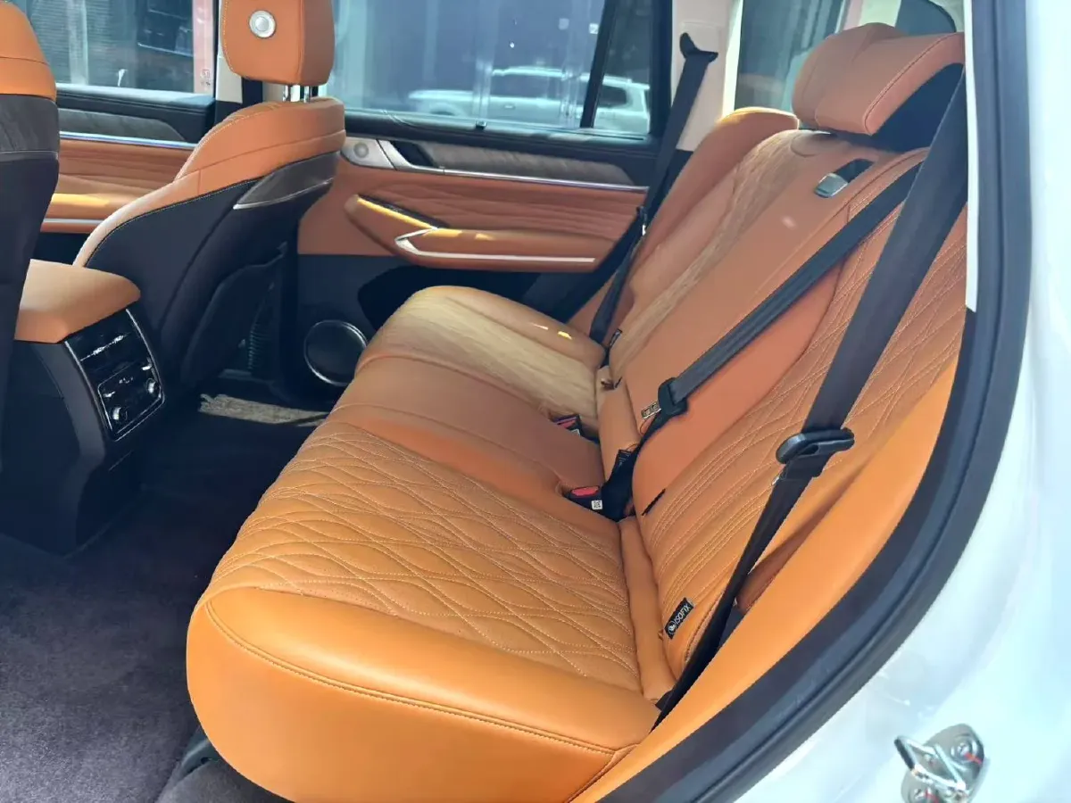 2025 Tank 500 2.0T 252HP L4 3DHT PHEV 59.05KWH,autocango,china used car exporter,china ev exporter,chinese used car exporter,chinese used ev exporter