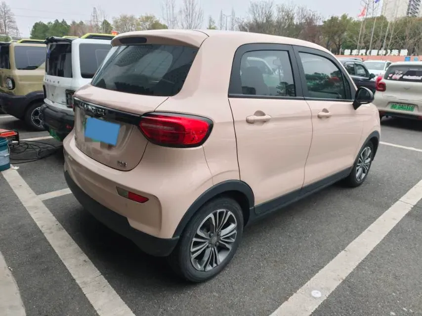 2021 Leapmotor T03 BEV 41KWH,autocango,china used car exporter,china ev exporter,chinese used car exporter,chinese used ev exporter