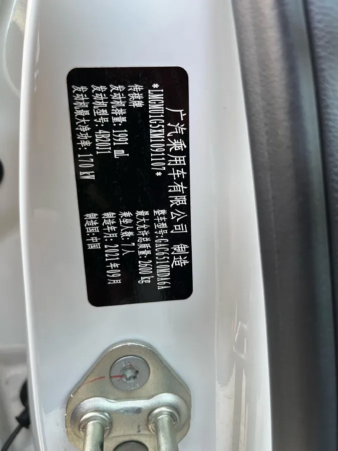 2021 GAC Trumpchi M8 2.0T 252HP L4 8AT,autocango,china used car exporter,china ev exporter,chinese used car exporter,chinese used ev exporter