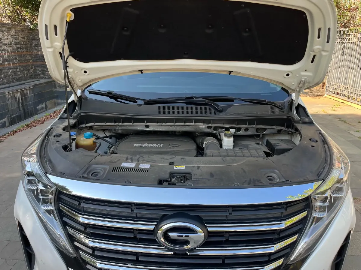 2021 GAC Trumpchi M8 2.0T 252HP L4 8AT,autocango,china used car exporter,china ev exporter,chinese used car exporter,chinese used ev exporter