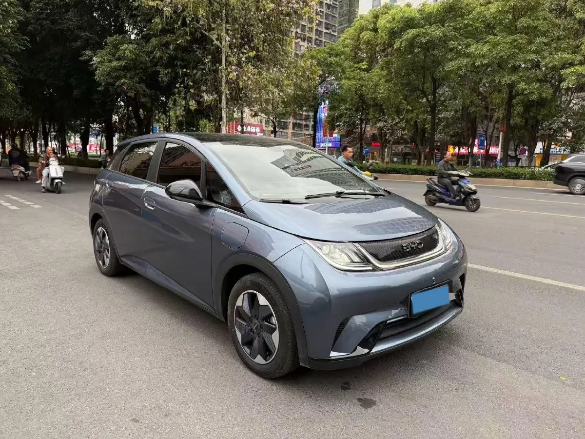 2024 BYD Dolphin BEV 44.928KWH,autocango,china used car exporter,china ev exporter,chinese used car exporter,chinese used ev exporter