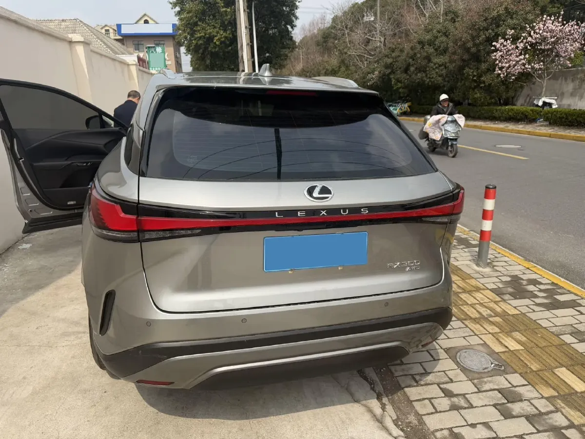 2026 Lexus RX 2.0T 248HP L4 8AT,autocango,china used car exporter,china ev exporter,chinese used car exporter,chinese used ev exporter