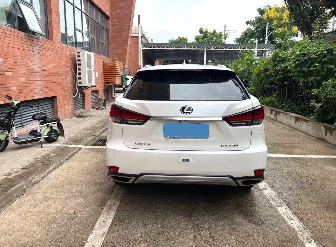 2020 Lexus RX 2.0T 231HP L4 6AT,autocango,china used car exporter,china ev exporter,chinese used car exporter,chinese used ev exporter