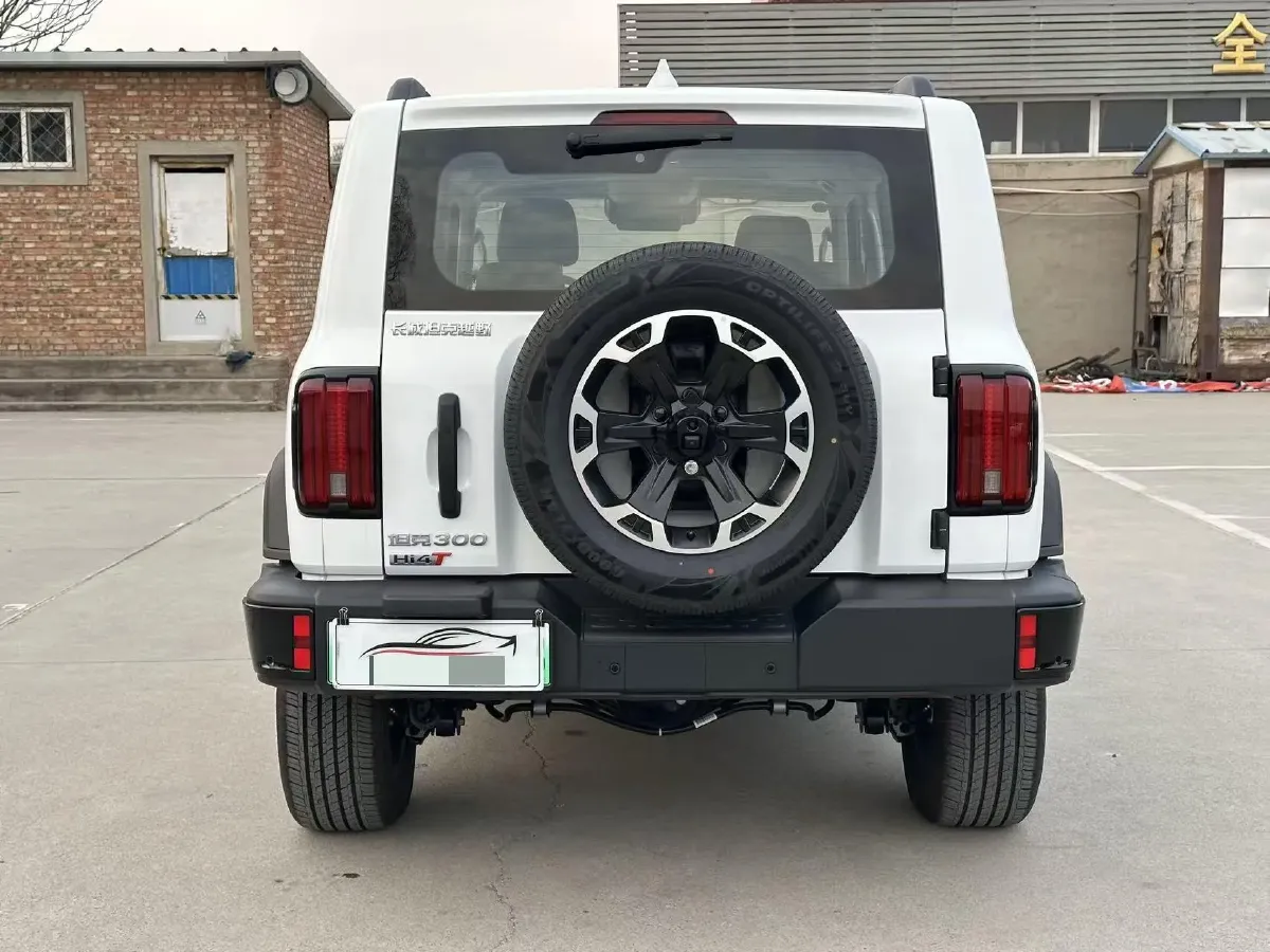 2025 Tank 300 2.0T 252HP L4 9AT PHEV,autocango,china used car exporter,china ev exporter,chinese used car exporter,chinese used ev exporter