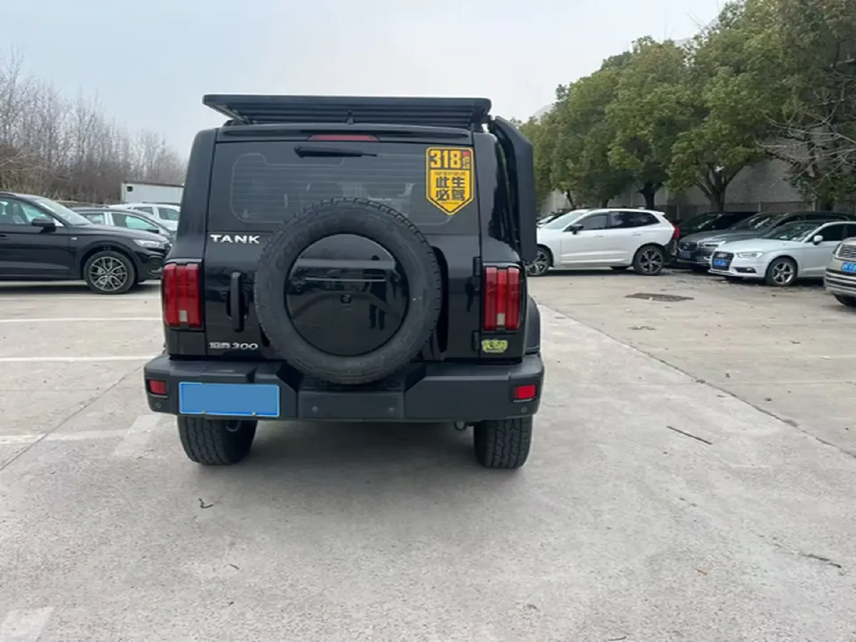 2021 Tank 300 2.0T 227HP L4 8AT,autocango,china used car exporter,china ev exporter,chinese used car exporter,chinese used ev exporter