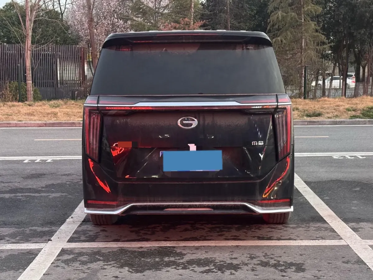 2024 GAC Trumpchi M8 2.0T 252HP L4 8AT,autocango,china used car exporter,china ev exporter,chinese used car exporter,chinese used ev exporter