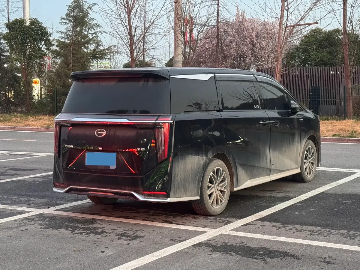 2024 GAC Trumpchi M8 2.0T 252HP L4 8AT,autocango,china used car exporter,china ev exporter,chinese used car exporter,chinese used ev exporter