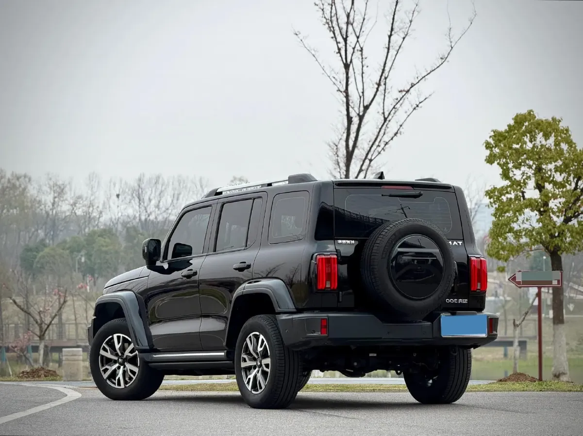 2023 Tank 300 2.0T 227HP L4 8AT,autocango,china used car exporter,china ev exporter,chinese used car exporter,chinese used ev exporter