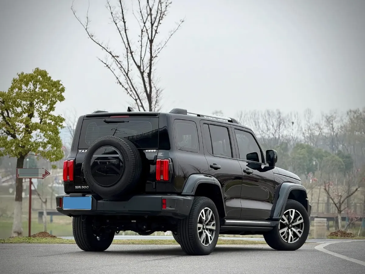2023 Tank 300 2.0T 227HP L4 8AT,autocango,china used car exporter,china ev exporter,chinese used car exporter,chinese used ev exporter