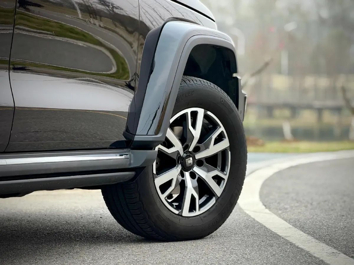 2023 Tank 300 2.0T 227HP L4 8AT,autocango,china used car exporter,china ev exporter,chinese used car exporter,chinese used ev exporter