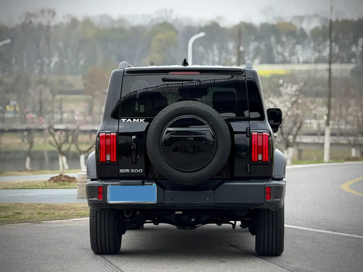 2023 Tank 300 2.0T 227HP L4 8AT,autocango,china used car exporter,china ev exporter,chinese used car exporter,chinese used ev exporter