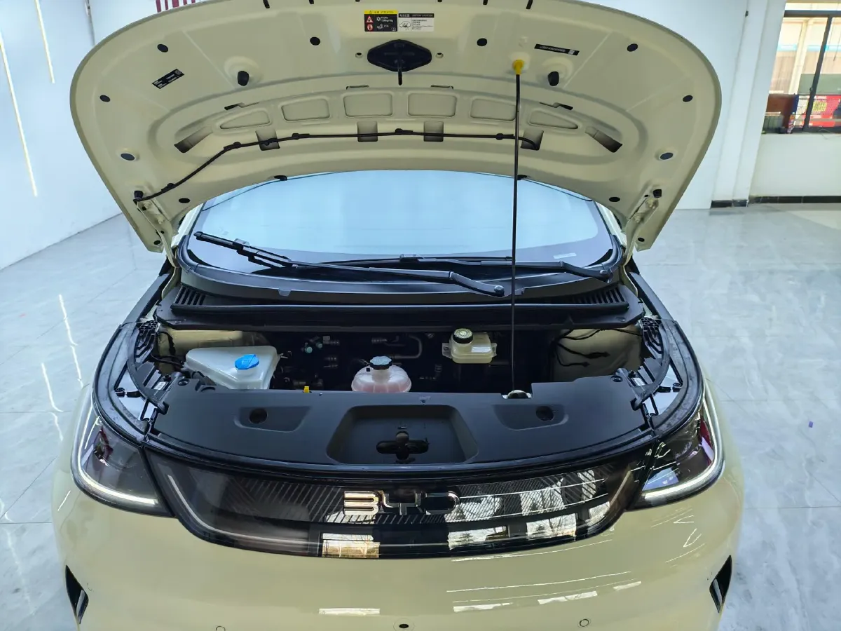 2025 BYD Dolphin BEV 45.12KWH,autocango,china used car exporter,china ev exporter,chinese used car exporter,chinese used ev exporter