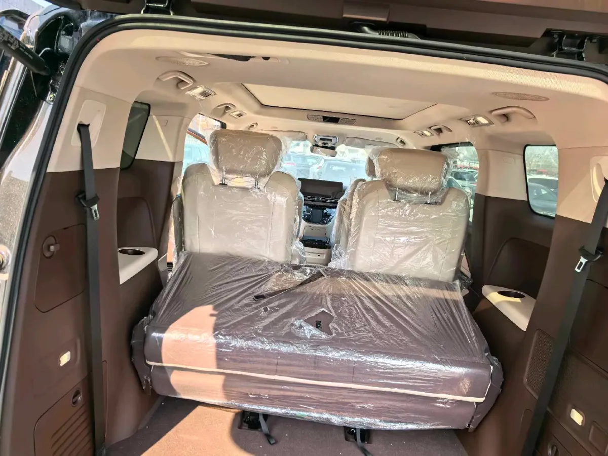 2024 HongQi HQ9 2.0T 163HP L4 1DHT PHEV 20.14KWH,autocango,china used car exporter,china ev exporter,chinese used car exporter,chinese used ev exporter