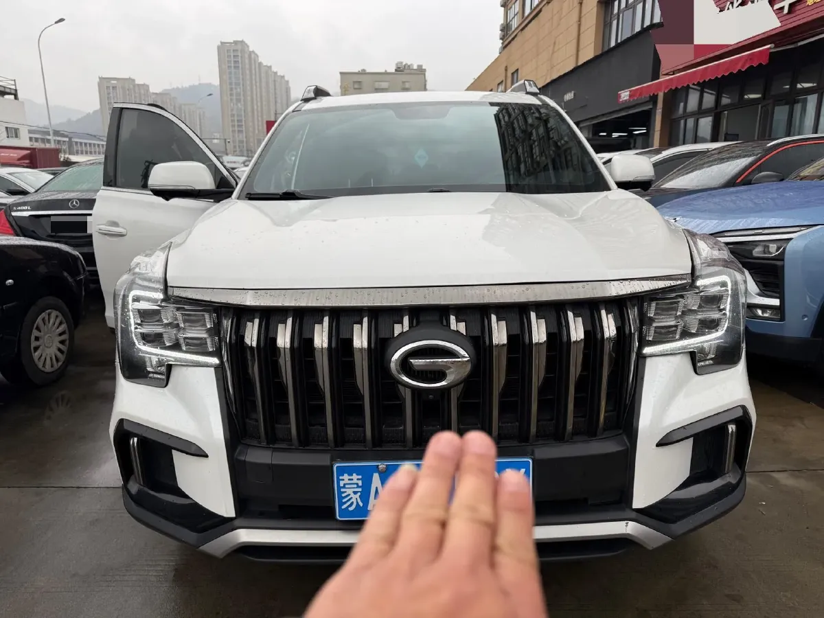 2020 GAC Trumpchi GS8 2.0T 252HP L4 6AT,autocango,china used car exporter,china ev exporter,chinese used car exporter,chinese used ev exporter