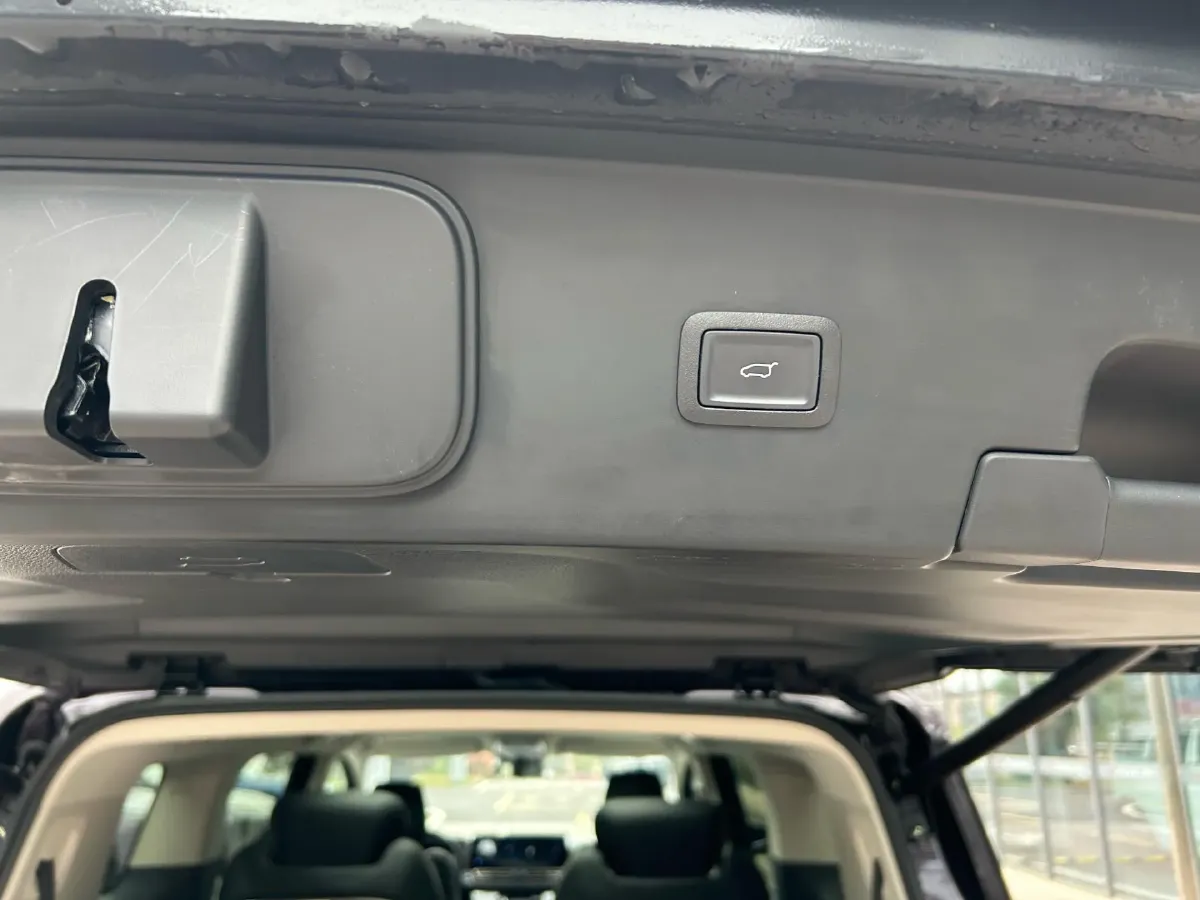 2024 HongQi HQ9 2.0T 163HP L4 1DHT PHEV 20.14KWH,autocango,china used car exporter,china ev exporter,chinese used car exporter,chinese used ev exporter