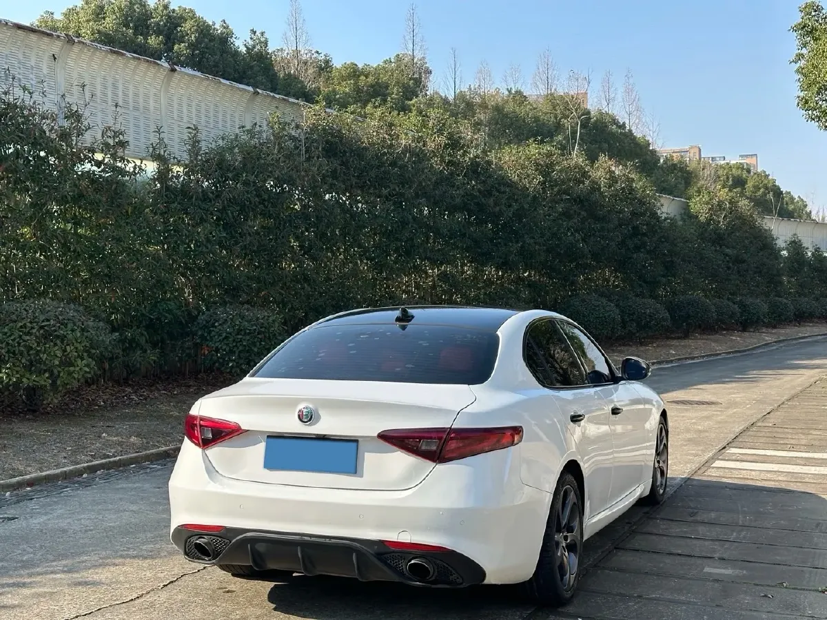 2017 Ford Mustang 2.3T 314HP L4 6AT,autocango,china used car exporter,china ev exporter,chinese used car exporter,chinese used ev exporter