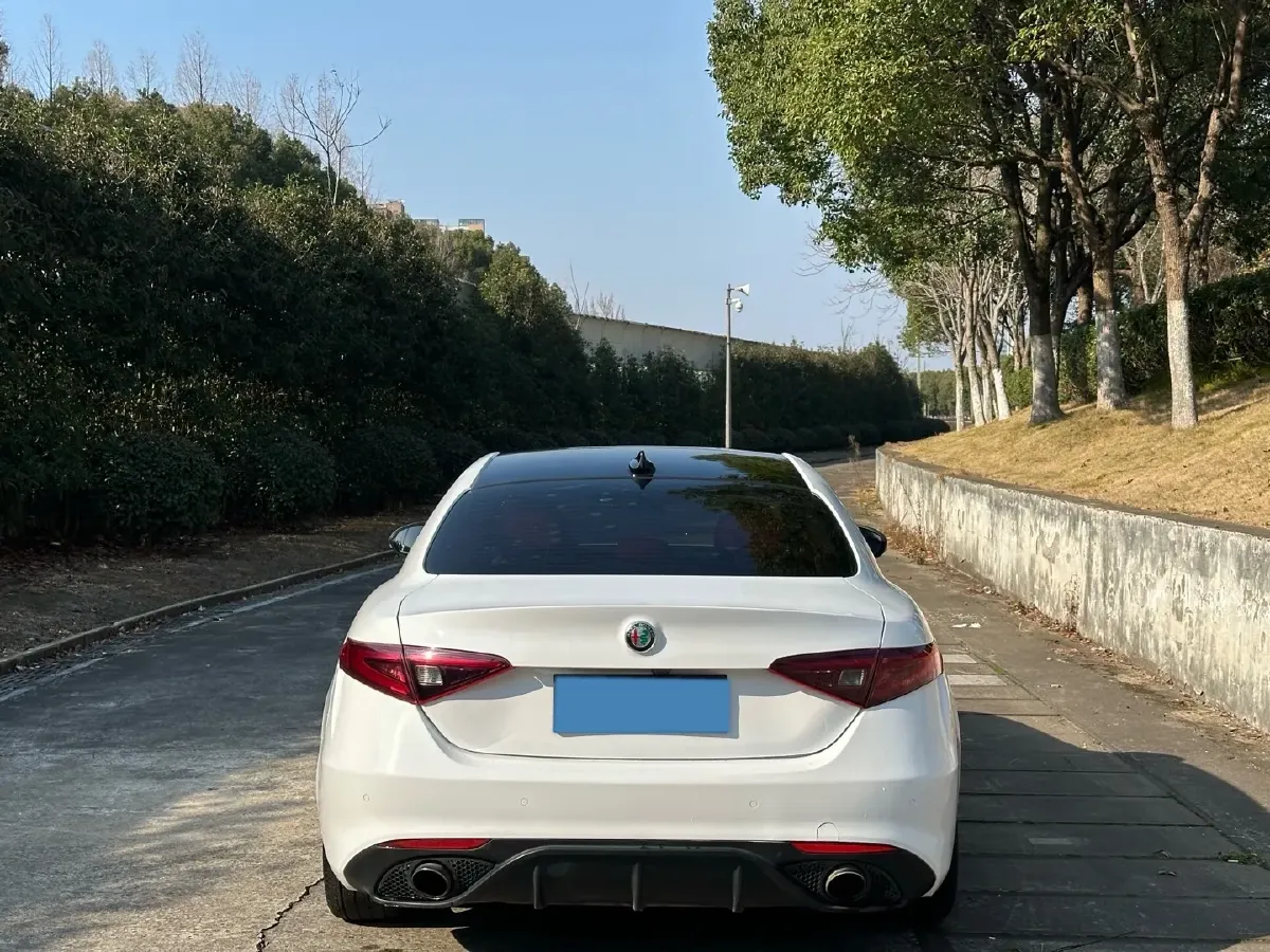 2017 Ford Mustang 2.3T 314HP L4 6AT,autocango,china used car exporter,china ev exporter,chinese used car exporter,chinese used ev exporter