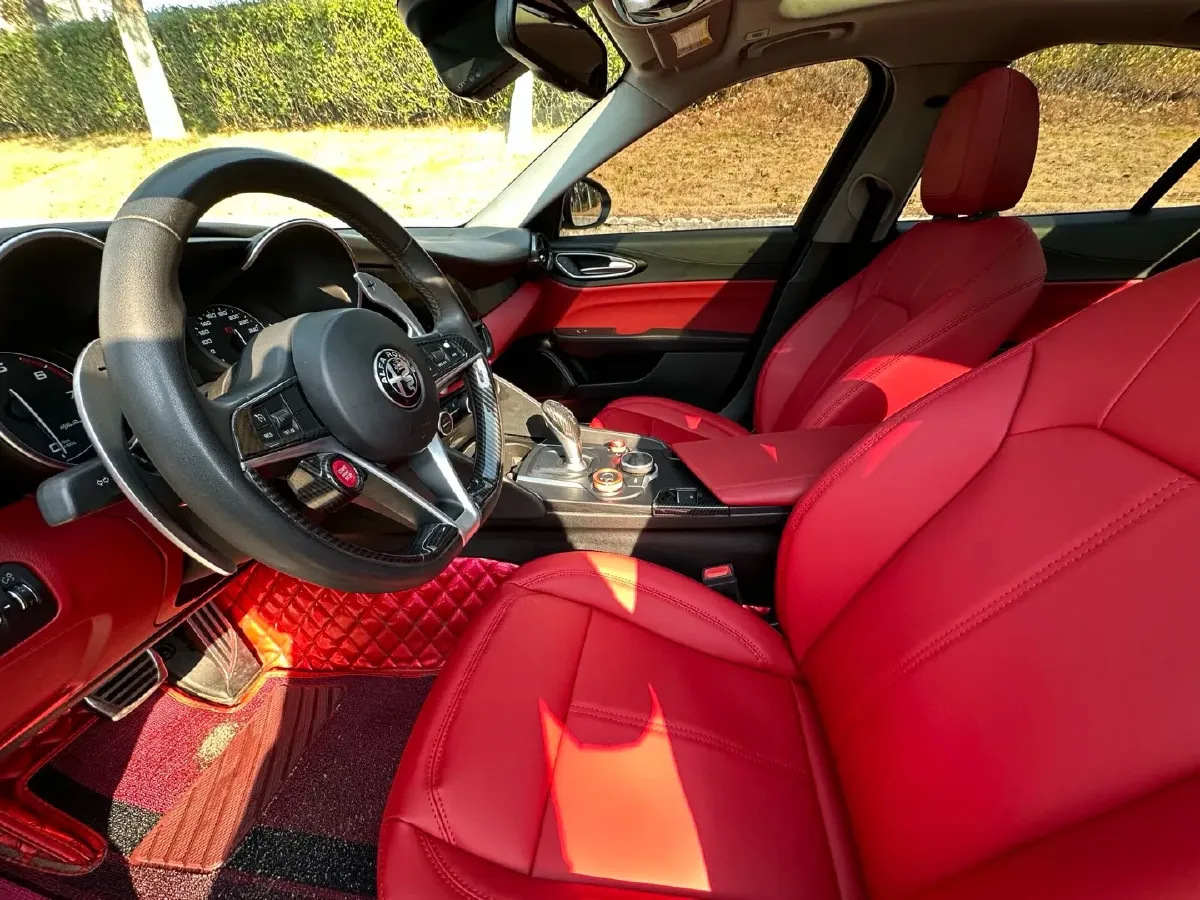 2017 Ford Mustang 2.3T 314HP L4 6AT,autocango,china used car exporter,china ev exporter,chinese used car exporter,chinese used ev exporter