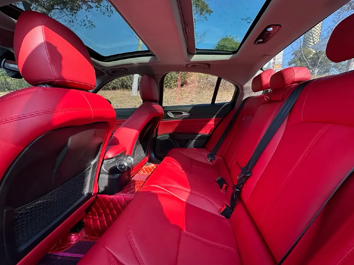 2017 Ford Mustang 2.3T 314HP L4 6AT,autocango,china used car exporter,china ev exporter,chinese used car exporter,chinese used ev exporter