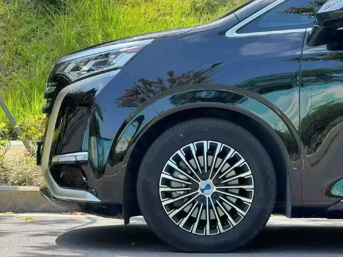 2024 Denza D9 1.5T 139HP L4 E-CVT PHEV 40KWH,autocango,china used car exporter,china ev exporter,chinese used car exporter,chinese used ev exporter