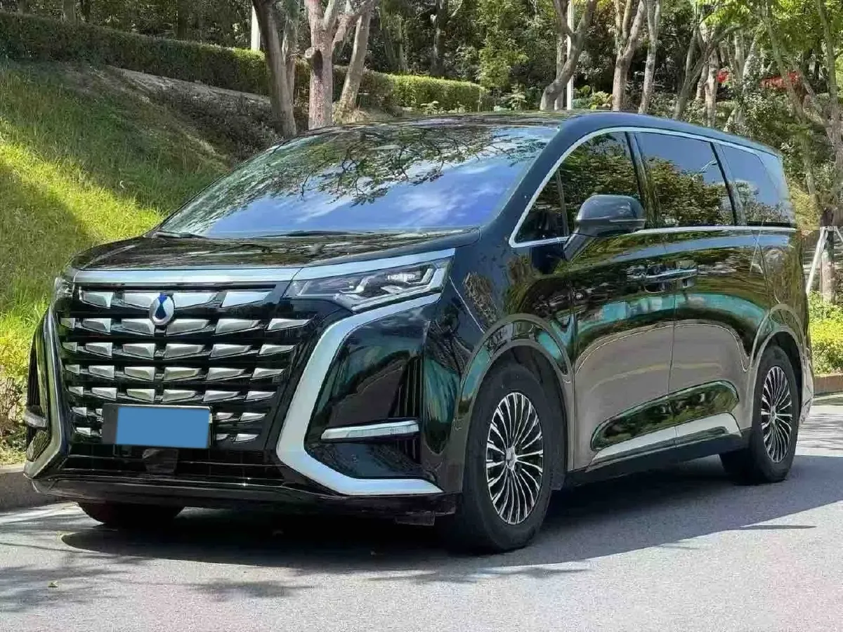 2024 Denza D9 1.5T 139HP L4 E-CVT PHEV 40KWH,autocango,china used car exporter,china ev exporter,chinese used car exporter,chinese used ev exporter