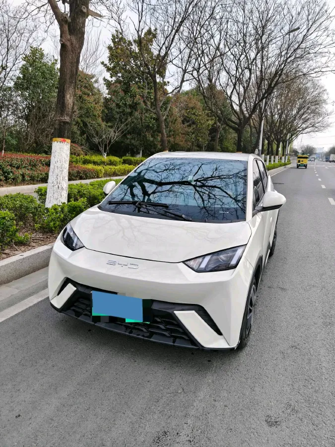 2023 BYD Seagull BEV 30.08KWH,autocango,china used car exporter,china ev exporter,chinese used car exporter,chinese used ev exporter