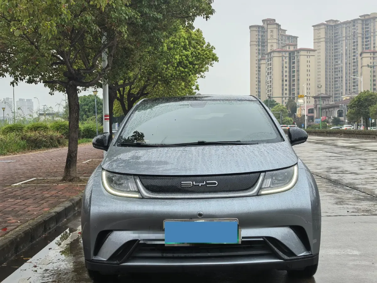2023 BYD Dolphin BEV 44.928KWH,autocango,china used car exporter,china ev exporter,chinese used car exporter,chinese used ev exporter