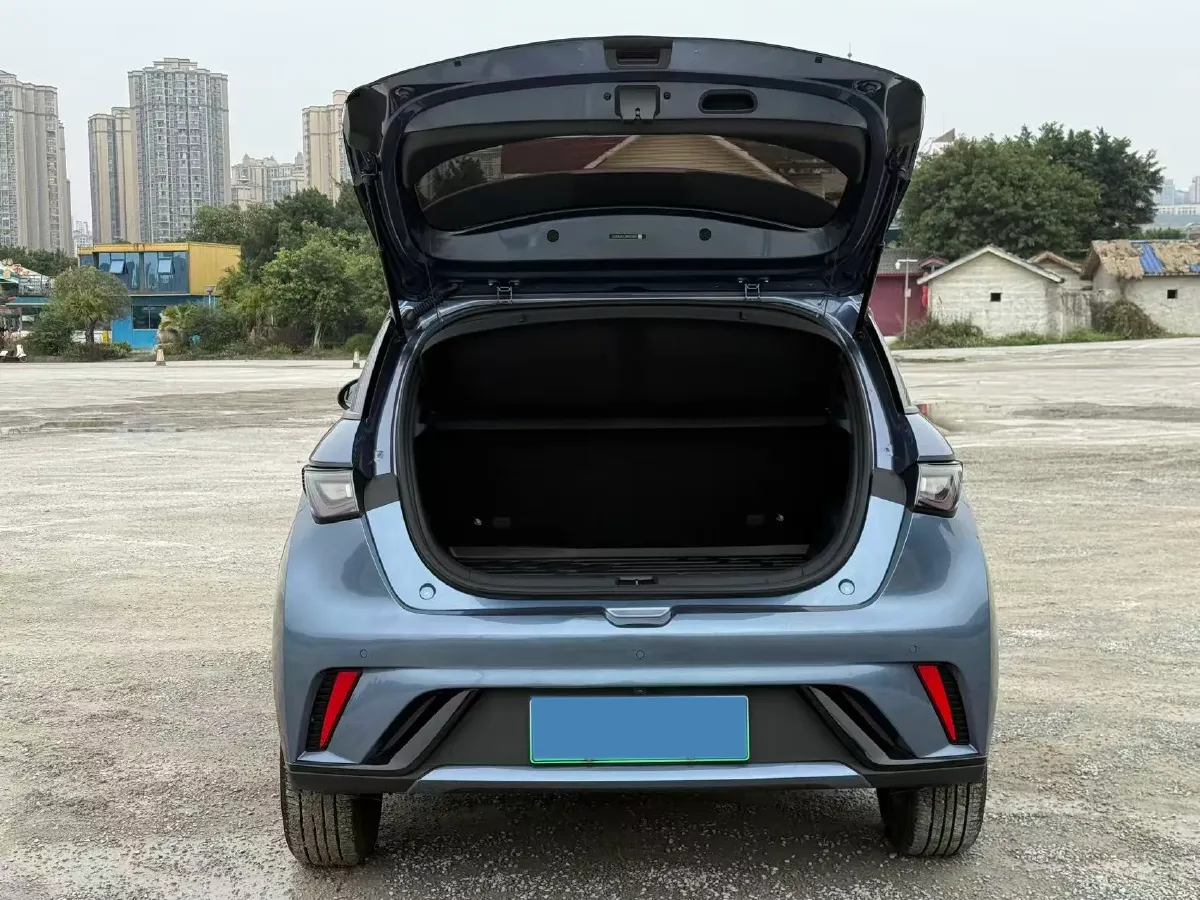 2025 BYD Dolphin BEV 44.928KWH,autocango,china used car exporter,china ev exporter,chinese used car exporter,chinese used ev exporter