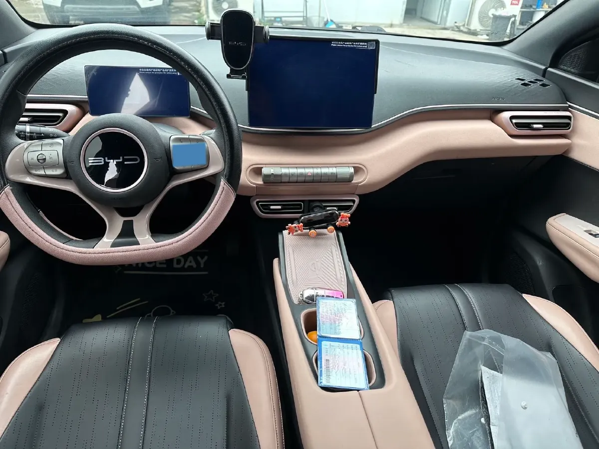 2024 BYD Seagull BEV 30.08KWH,autocango,china used car exporter,china ev exporter,chinese used car exporter,chinese used ev exporter